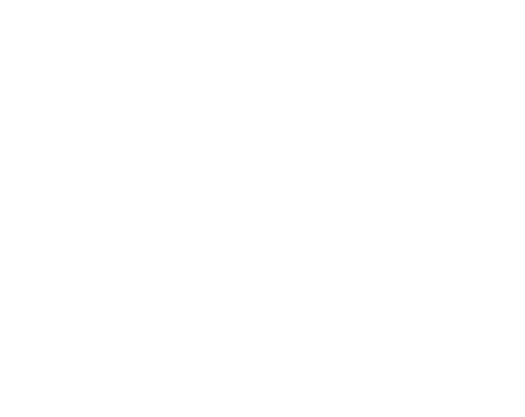 Tam Yönetim